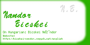 nandor bicskei business card